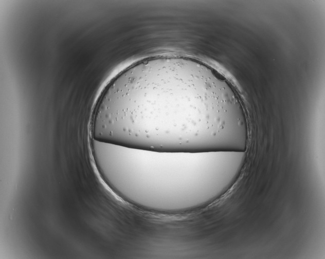 X0000087571239200704270938