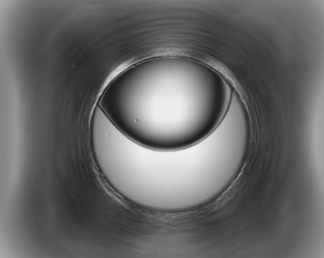 X0000087571242200704270938