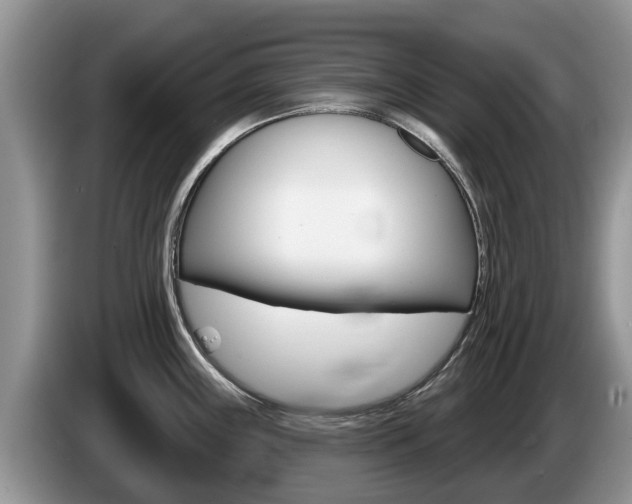 X0000087571243200704270938