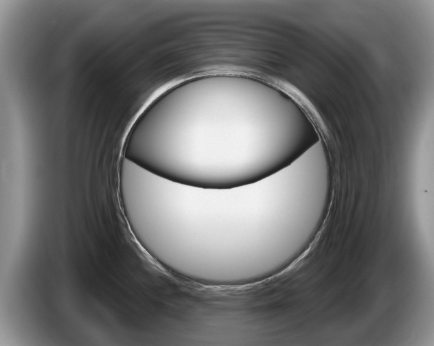 X0000087571244200704270938