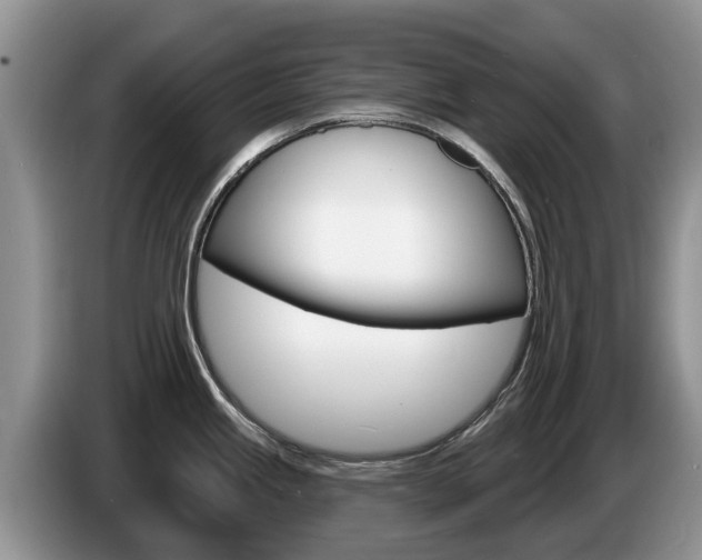 X0000087571245200704270938