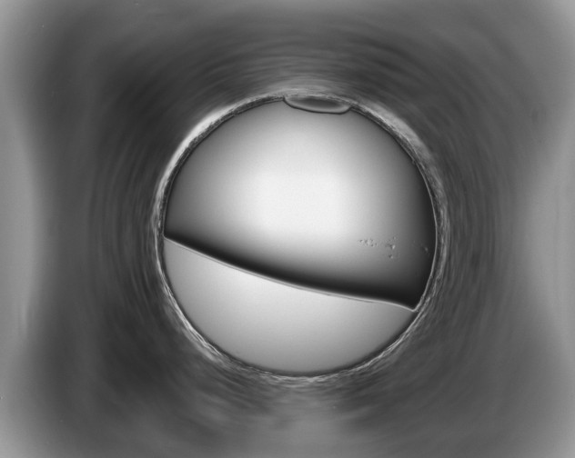 X0000087571248200704270938