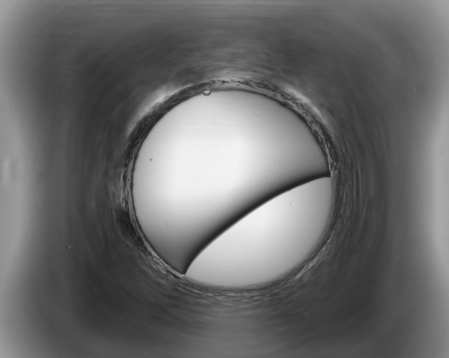X0000087571262200704270937