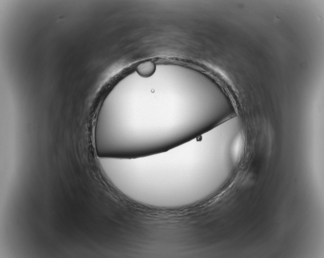 X0000087571263200704270937