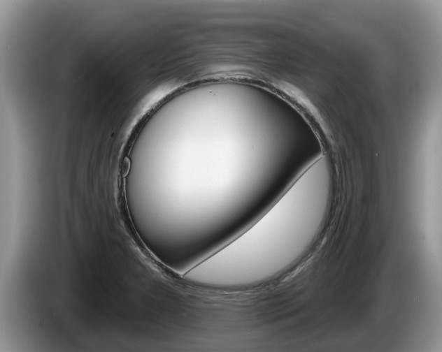 X0000087571277200704270937