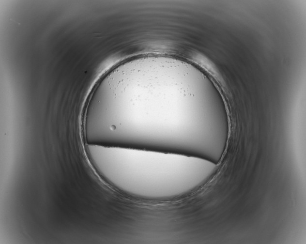 X0000087571283200704270937