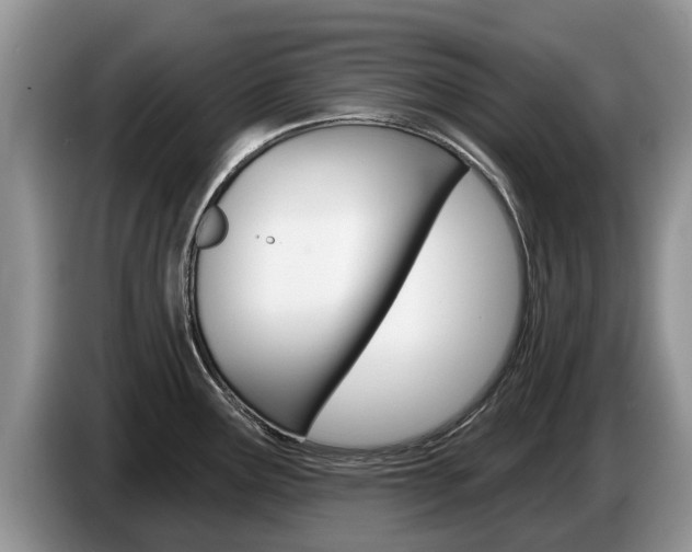 X0000087571291200704270937