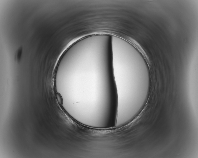 X0000087571292200704270937
