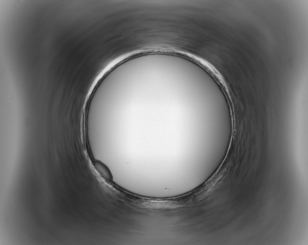 X0000087571295200704270937