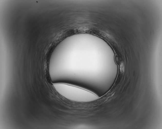 X0000087571299200704270936
