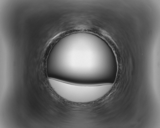 X0000087571304200704270936