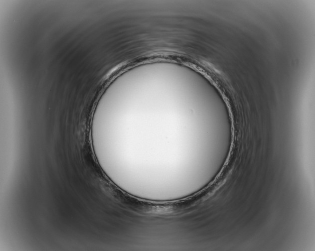 X0000087571313200704270936