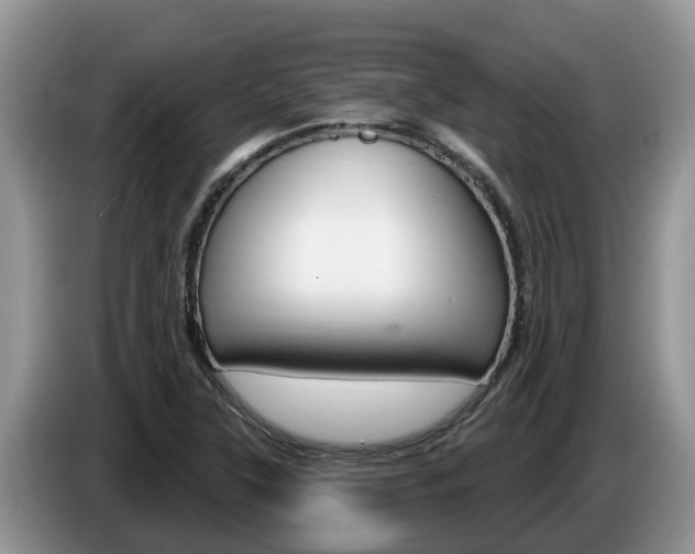X0000087571315200704270936