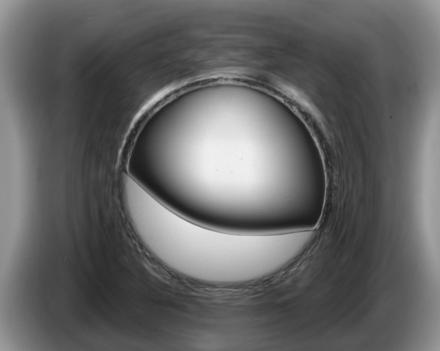 X0000087571316200704270936