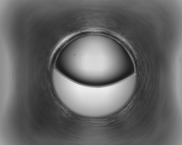 X0000087571319200704270936