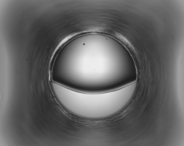 X0000087571324200704270936