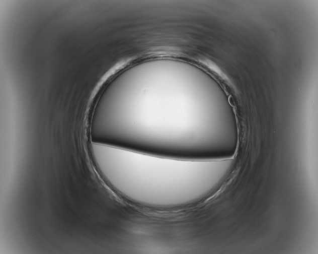 X0000087571325200704270937