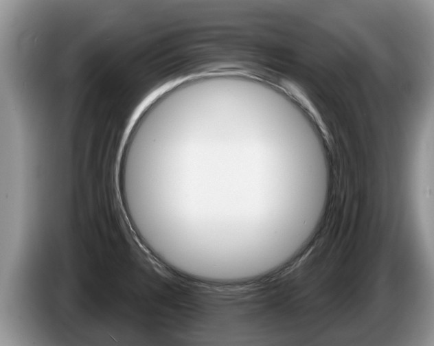 X0000087571328200704270937