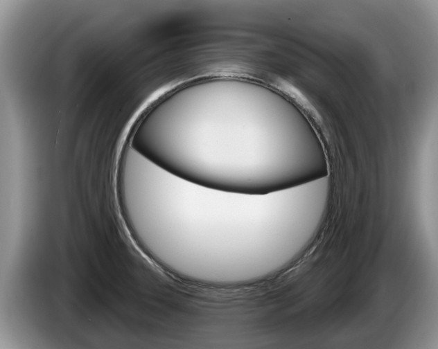 X0000087571331200704270937