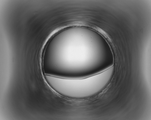 X0000087571334200704270937