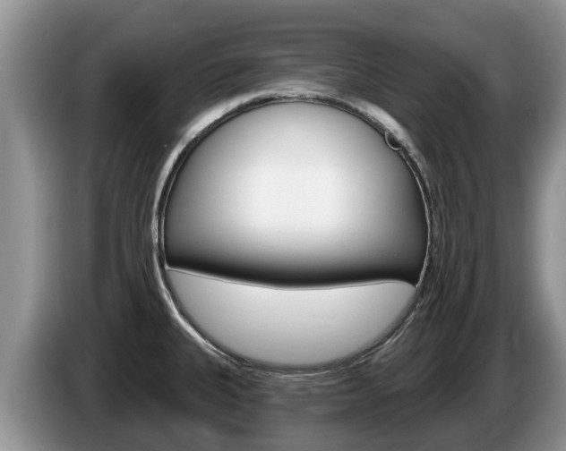 X0000087571335200704270937