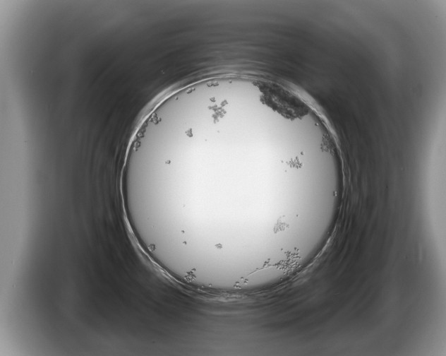 X0000087571338200704270937