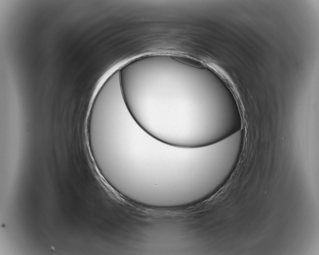 X0000087571344200704270937