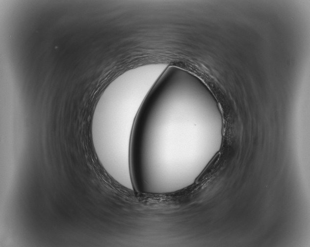 X0000087571345200704270936