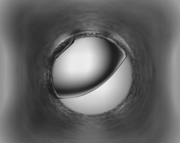 X0000087571352200704270936