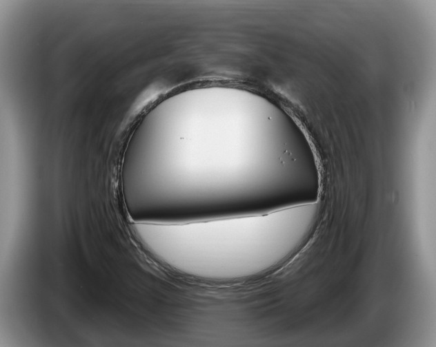 X0000087571355200704270936