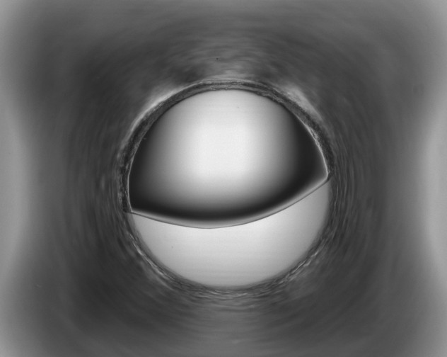 X0000087571356200704270936