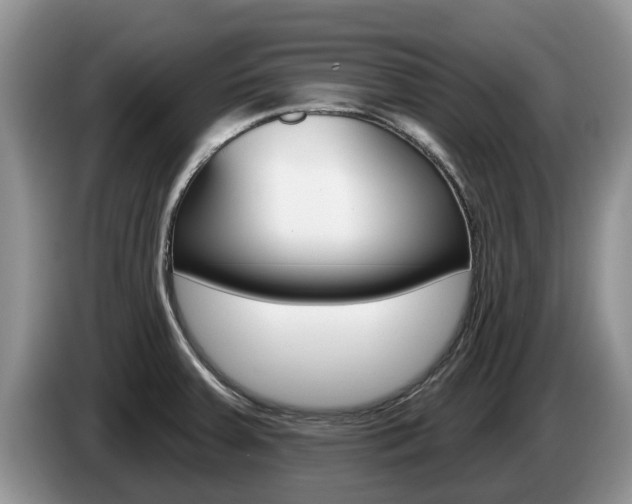 X0000087571379200704270936