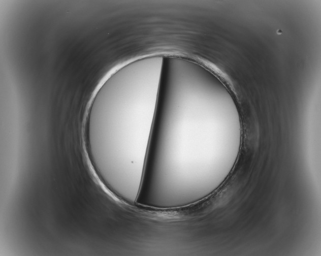 X0000087571383200704270936
