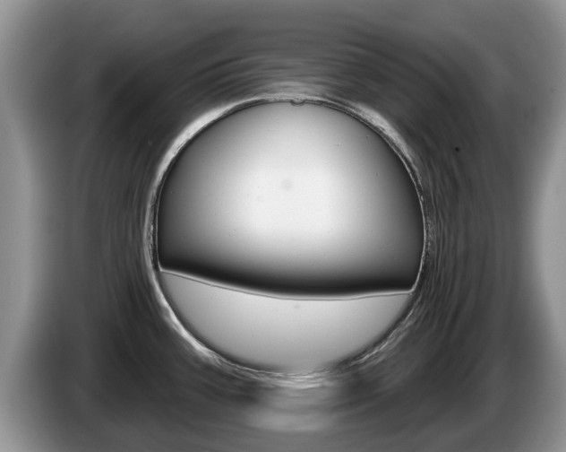 X0000087571387200704270936