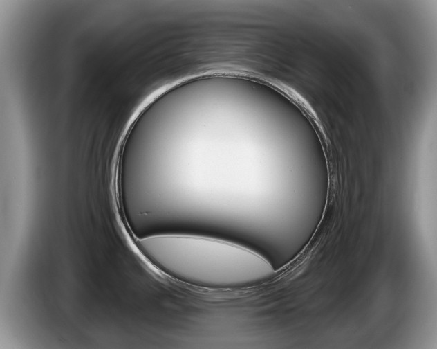 X0000087571391200704270936