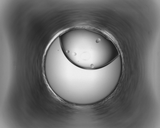 X0000087571392200704270936