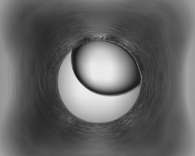 X0000087571394200704270935