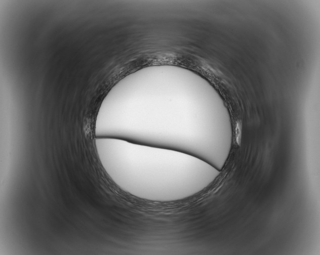 X0000087571395200704270935