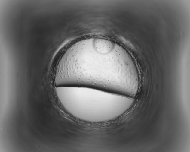 X0000087571400200704270935
