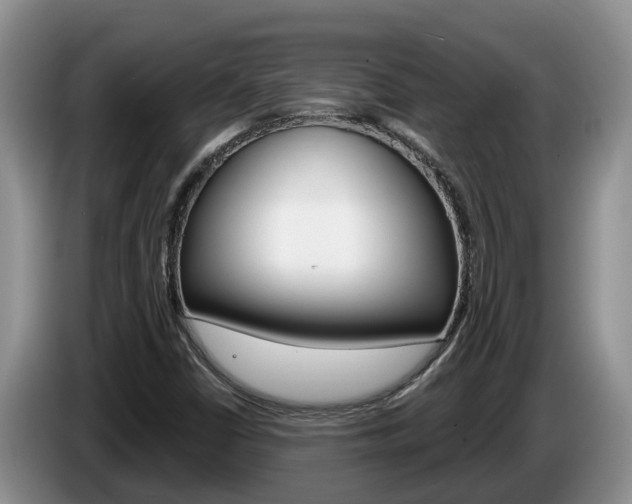 X0000087571402200704270935