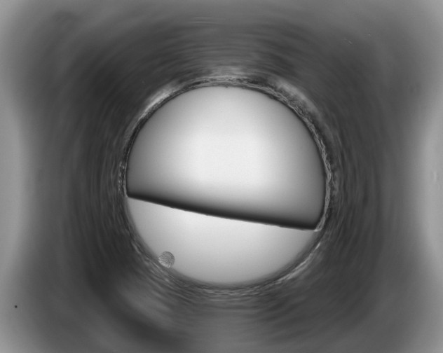 X0000087571409200704270935