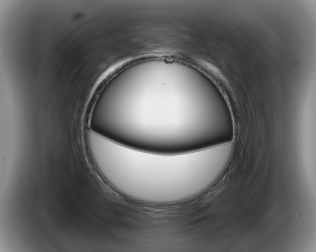 X0000087571412200704270935