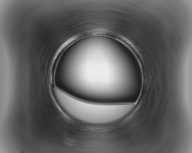 X0000087571418200704270935