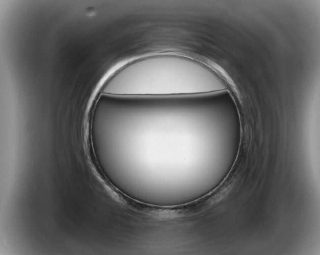 X0000087571424200704270935
