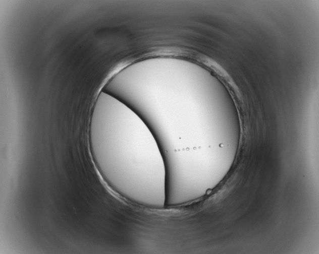 X0000087571425200704270935