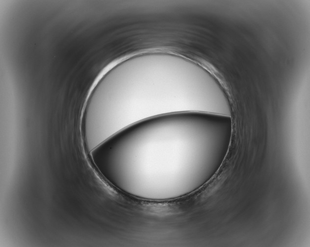 X0000087571428200704270935