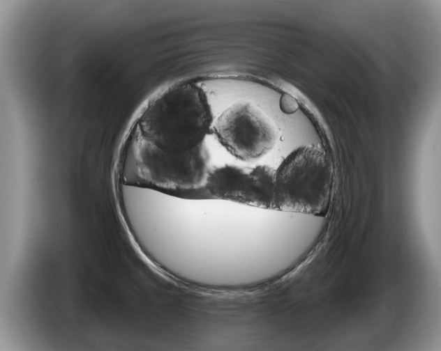 X0000087571429200704270936