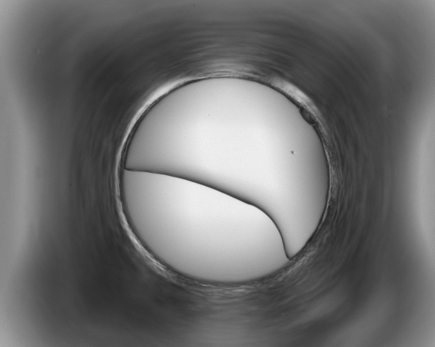 X0000087571431200704270936