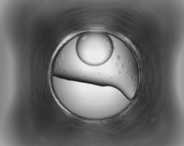 X0000087571432200704270936