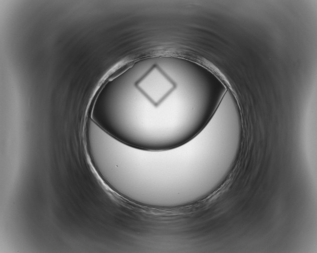 X0000087571434200704270936